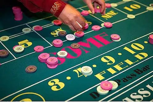 Jadwal pengundian Togel dog69 dengan timer countdown dan kategori berbeda